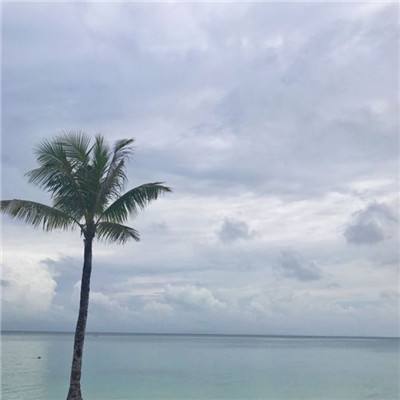 武圣传奇bt版果盘版下载
