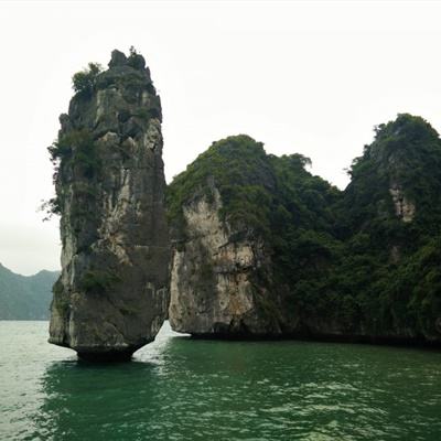宝宝动物世界小游戏下载安装